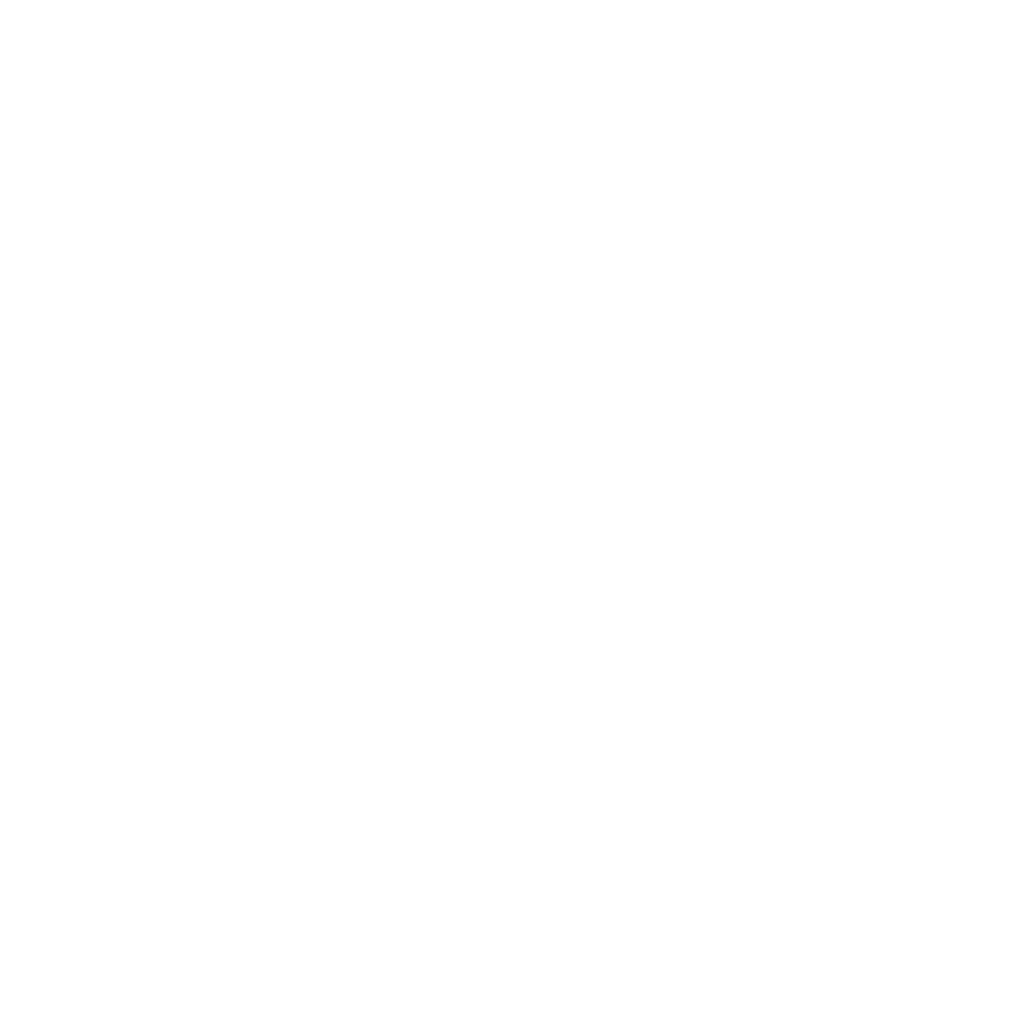 Monkey Noise logo
